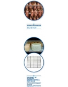 Armadio per asciugatura salumi / formaggi Lt.1.400 Porta a vetro