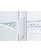 Vetrina refrigerata ventilata verticale cm 51,6x48,7x188,9h