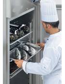 Armadio refrigerato per pesce in acciaio inox AISi 304, refrigerazione ventilata - cm 70x82x205h