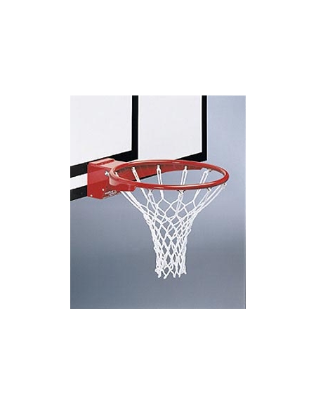 Canestro da Basket professionale Reclinabile con Retina