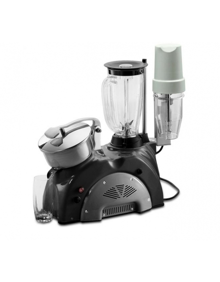 GRUPPO MULTIPLO: SPREMIAGRUMI, BLENDER, FRAPPE' - Potenza 450W - mm. 317x490x510h