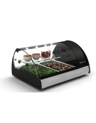 Vetrina refrigerata statica con 2 contenitori GN1/1 - illuminazione al led - mm 970 x 600 x 470H