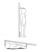 Calibro per misura neonati in duralluminio ossidato, graduato da 0 a 90 cm, con tacche ogni 5 mm