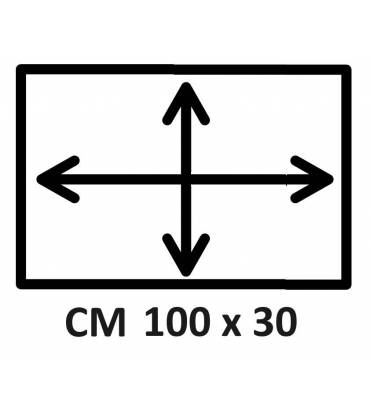 CM 100 x 30